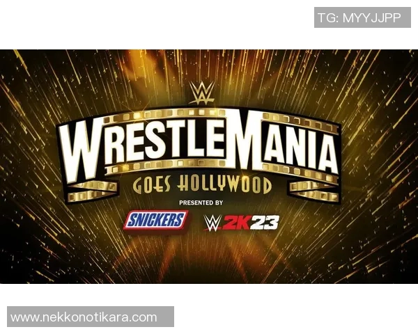 摔跤狂热大赛全程安排与精彩赛事预告一览