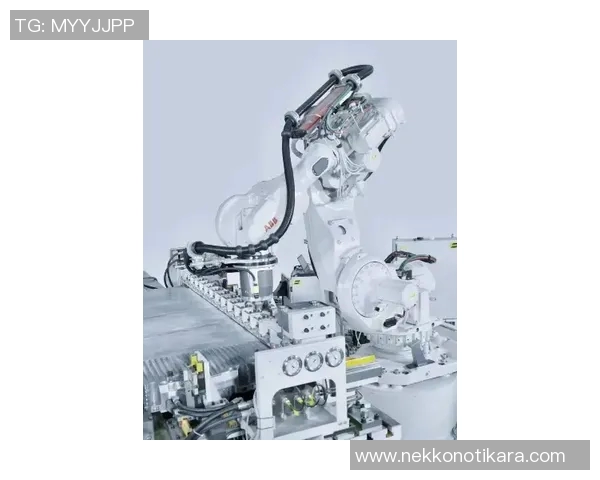 运动装备技术革新动态探索新材料与智能化应用推动运动性能提升与用户体验优化