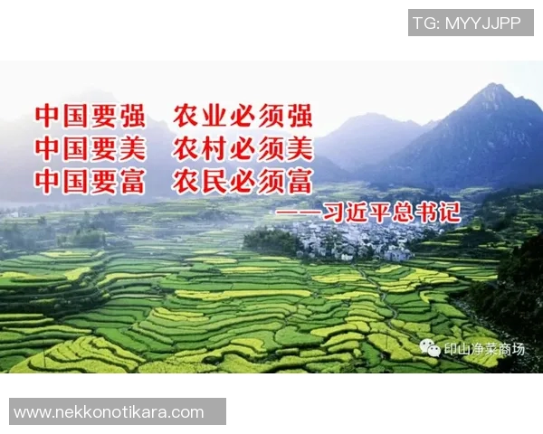 体育扶贫项目助力乡村振兴新进展与未来展望分析 体育扶贫项目助力乡村振兴新进展与未来展望分析