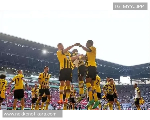 多特憾平沃尔夫斯堡，联赛积分榜再度失去领先优势