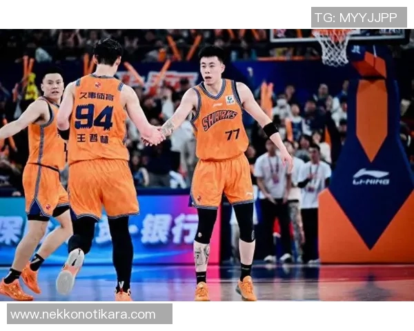 广东宏远力克上海队夺冠，CBA总决赛精彩收官！