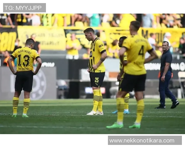 多特蒙德主场大胜，轻松击败劲敌云达不莱梅