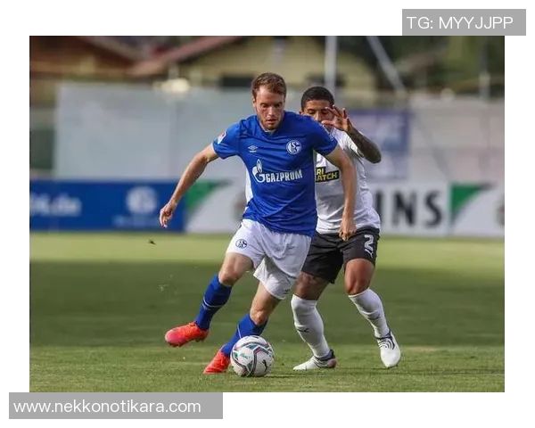 沙尔克04客场失利，遭遇奥格斯堡绝杀制胜